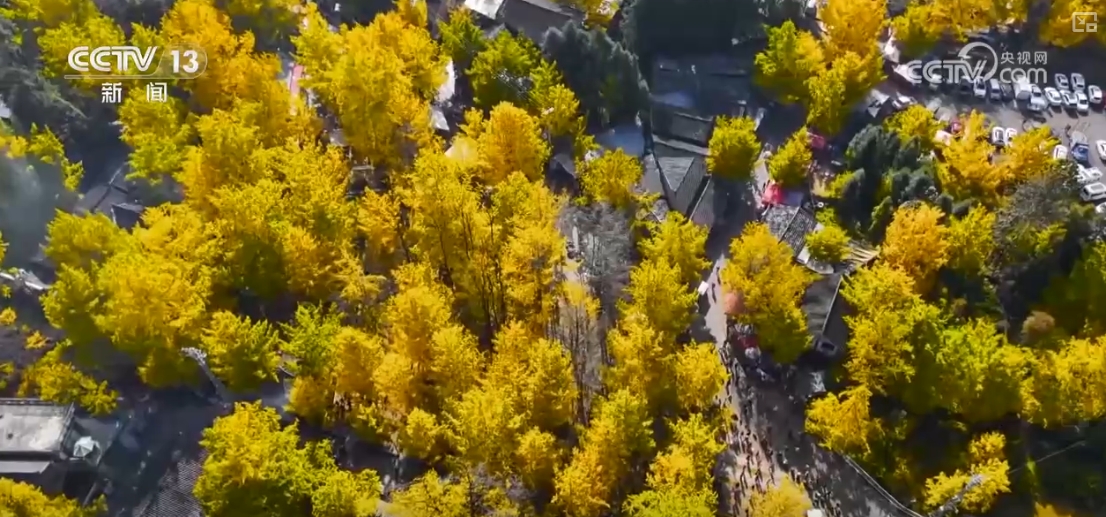 
南京脑科医院黄牛代挂号电话票贩子号贩子网上预约挂号,住院检查加快,“秋冬限定色”“驯鹿游”引客来 特色文旅释放消费“新”热潮