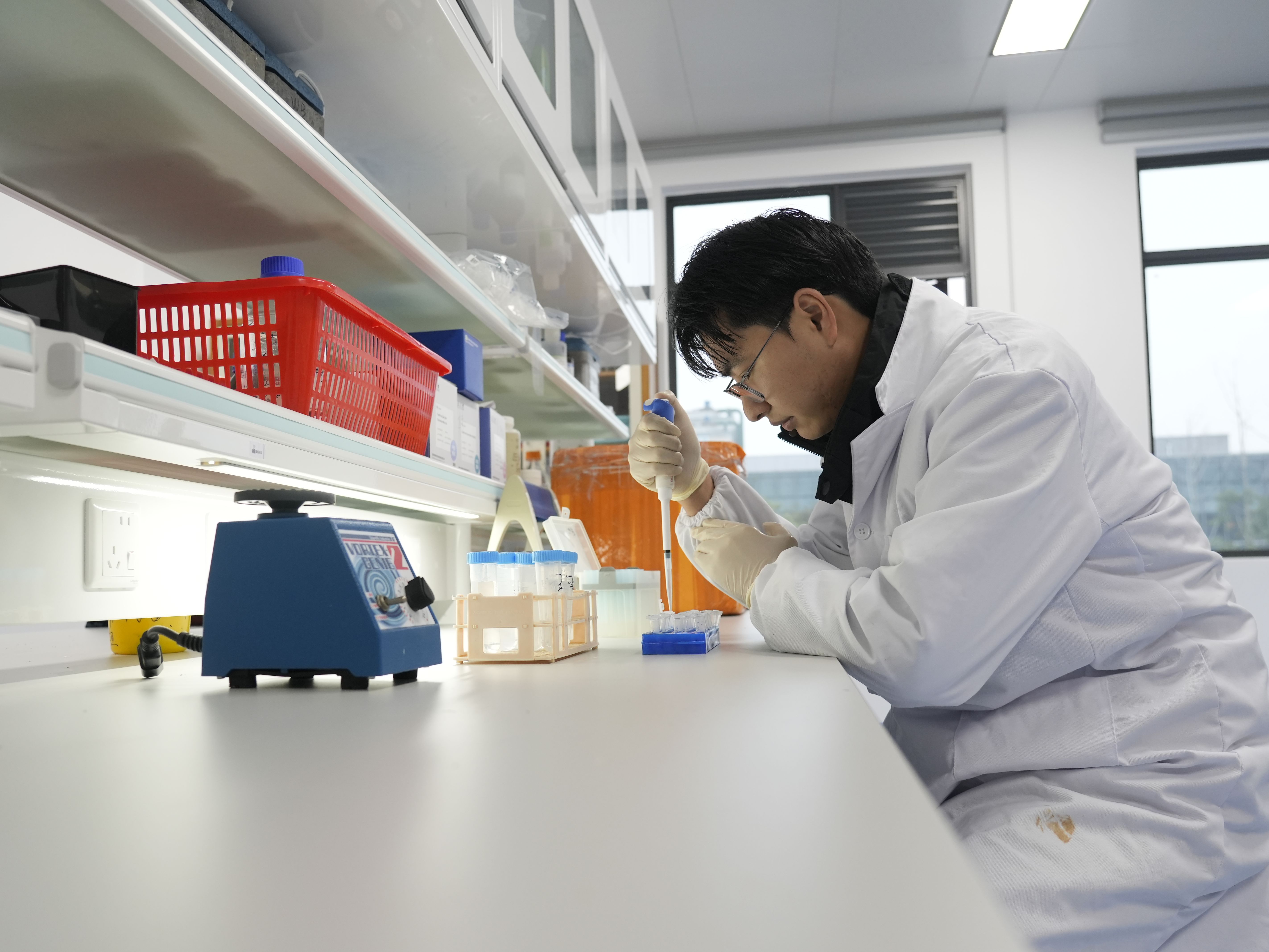 
浙江第一医院黄牛代挂号电话票贩子号贩子网上预约挂号,住院检查加快,高质量发展调研行 | 种业向新：农业“芯片”如何炼成？