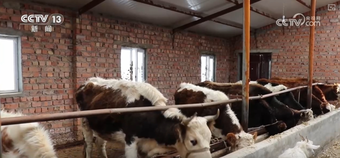 
浙江省人民医院黄牛代挂号电话票贩子号贩子网上预约挂号,住院检查加快,本轮寒潮天气有何特点？寒潮与冷空气有何区别？分析→