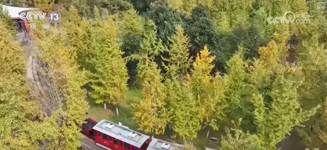 
南京脑科医院黄牛代挂号电话票贩子号贩子网上预约挂号,住院检查加快,“秋冬限定色”“驯鹿游”引客来 特色文旅释放消费“新”热潮