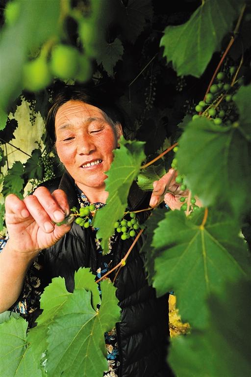 
北京301医院黄牛代挂号电话票贩子号贩子网上预约挂号,住院检查加快,以改革“力度”提升民生“温度”