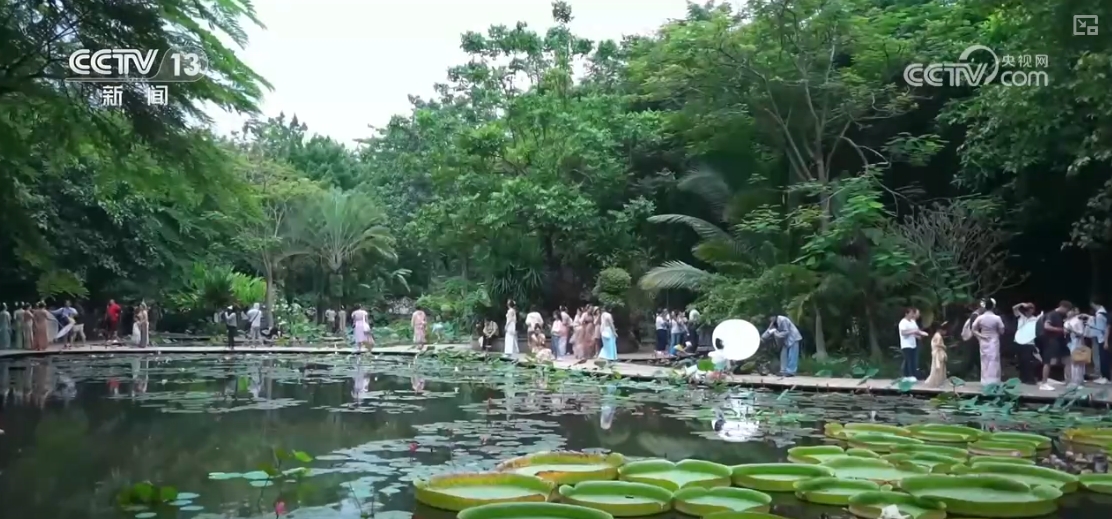 
北京儿童医院黄牛代挂号电话票贩子号贩子网上预约挂号,住院检查加快,丰富业态打造旅游升级版 县域游成“银发族”旅居养老“新宠”