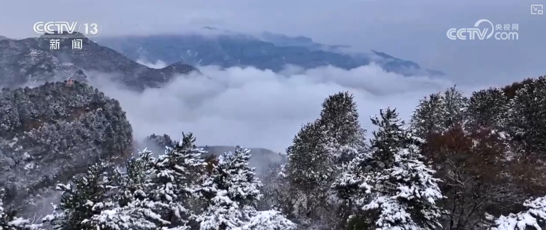 
北京八大处整形医院黄牛代挂号电话票贩子号贩子网上预约挂号,住院检查加快,寒潮频繁出现冷冬就要来？小雪和寒潮是固定搭配？科普→