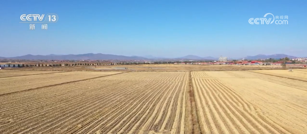 广州各大医院黄牛代挂号电话票贩子号贩子网上预约挂号,住院检查加快,从田间到餐桌 全民行动推动粮食节约