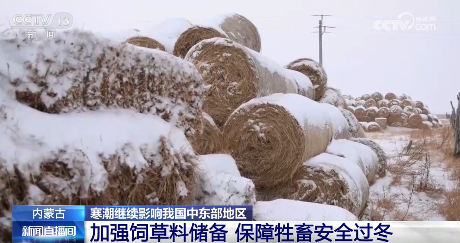 
浙江第二医院黄牛代挂号电话票贩子号贩子网上预约挂号,住院检查加快,科技为抵御寒潮提供“硬支撑” 各地积极保障“菜篮子”“果盘子”稳定供应