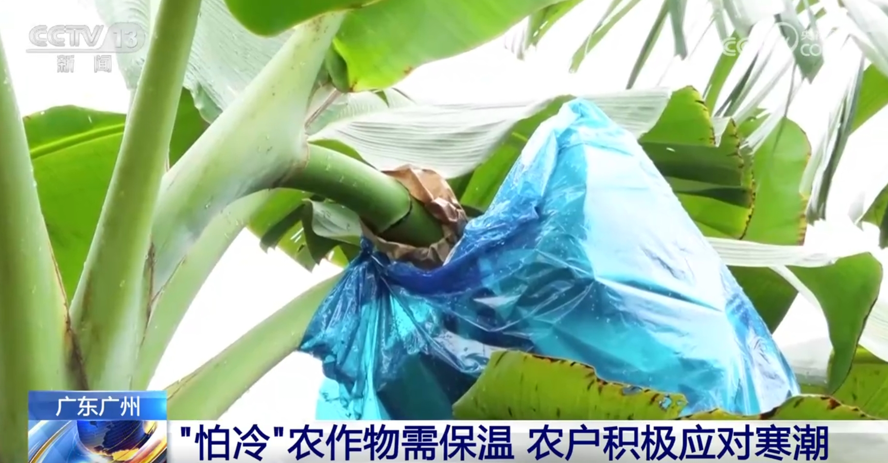 
浙江第二医院黄牛代挂号电话票贩子号贩子网上预约挂号,住院检查加快,科技为抵御寒潮提供“硬支撑” 各地积极保障“菜篮子”“果盘子”稳定供应
