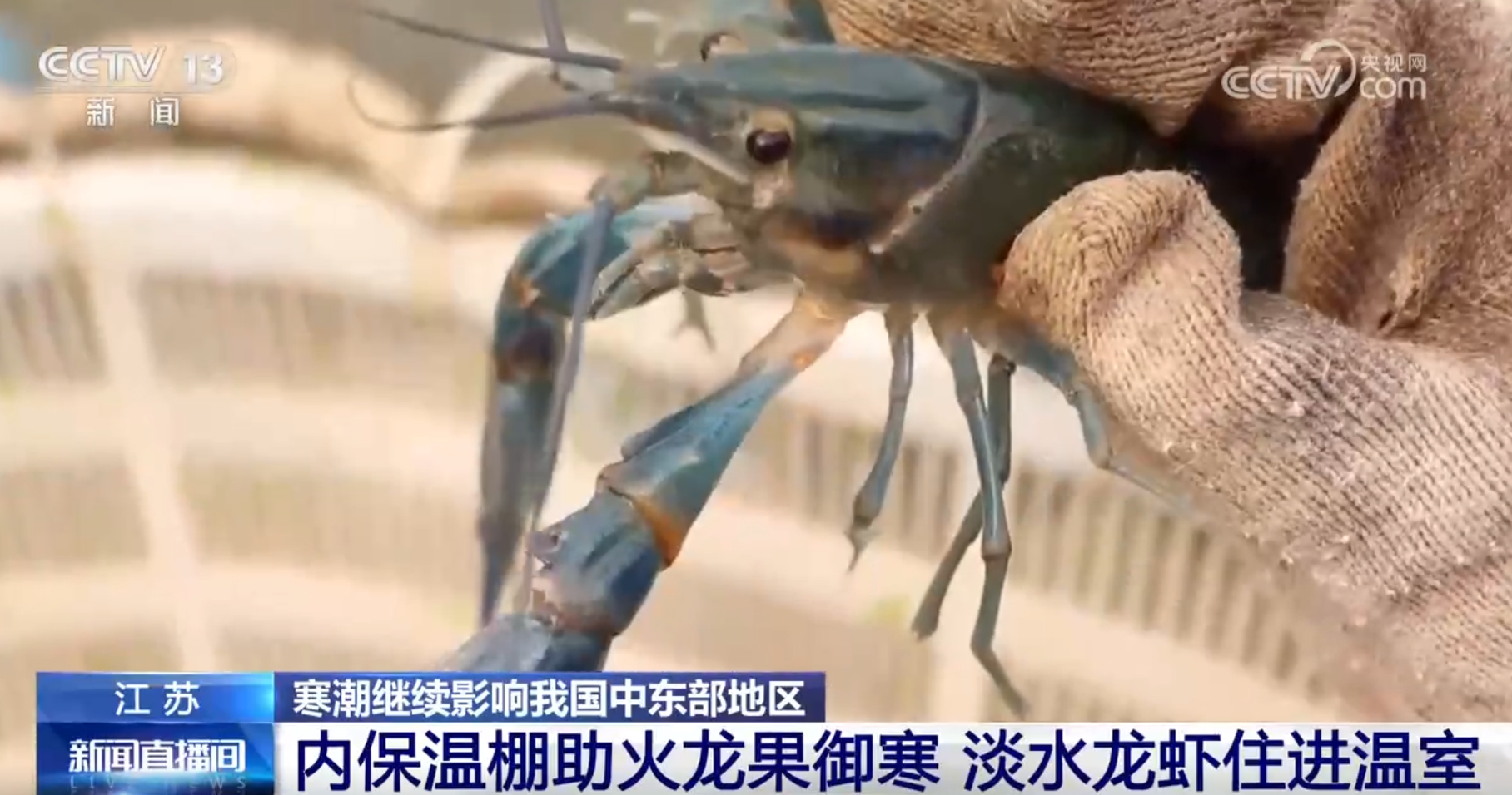 
浙江第二医院黄牛代挂号电话票贩子号贩子网上预约挂号,住院检查加快,科技为抵御寒潮提供“硬支撑” 各地积极保障“菜篮子”“果盘子”稳定供应