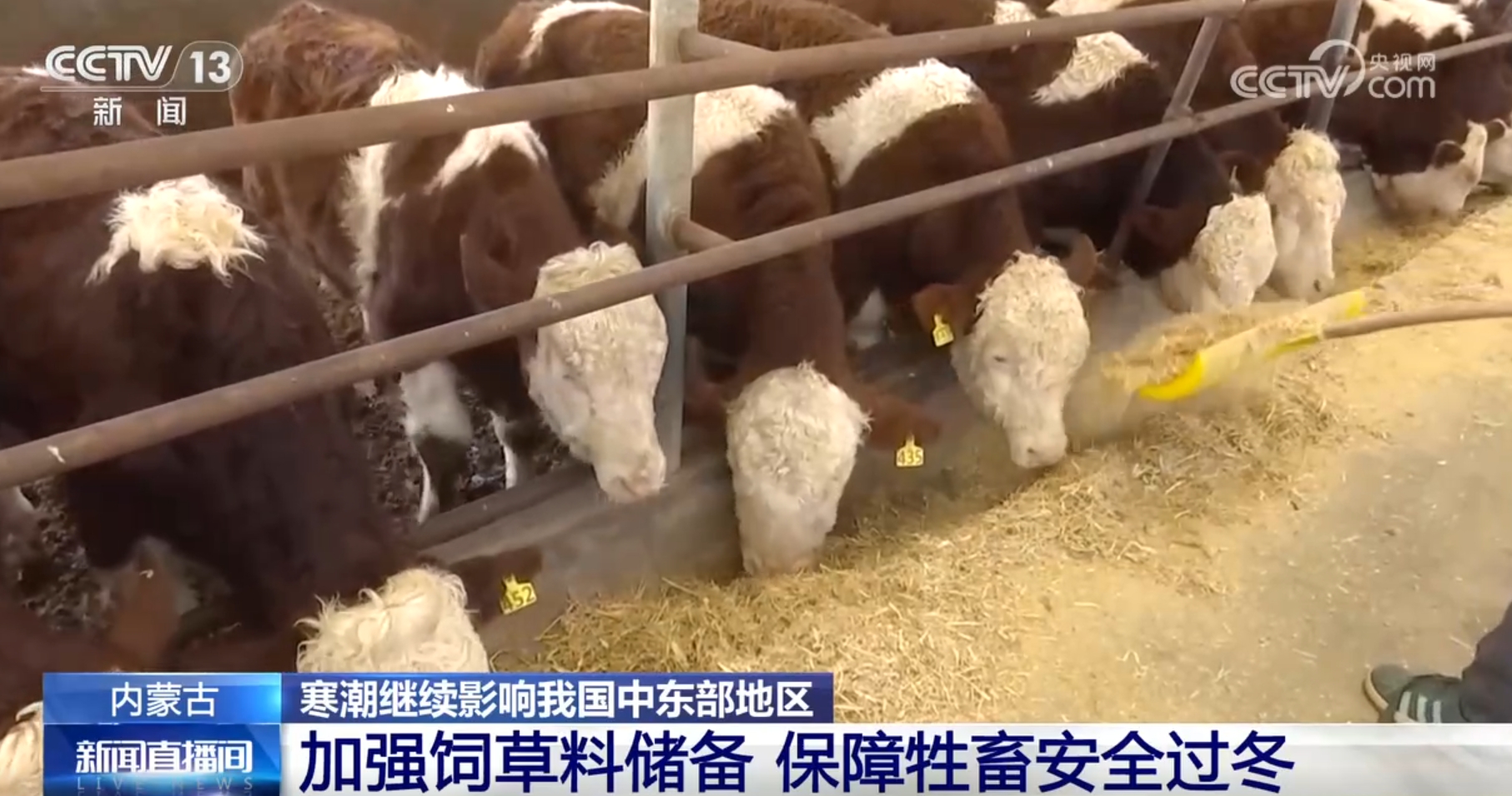 
浙江第二医院黄牛代挂号电话票贩子号贩子网上预约挂号,住院检查加快,科技为抵御寒潮提供“硬支撑” 各地积极保障“菜篮子”“果盘子”稳定供应