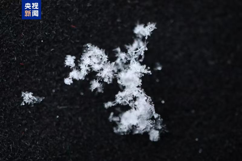 
上海胸科医院黄牛号贩子挂号电话中国东部冷流雪观测试验启动 探究冬季致灾暴雪成因