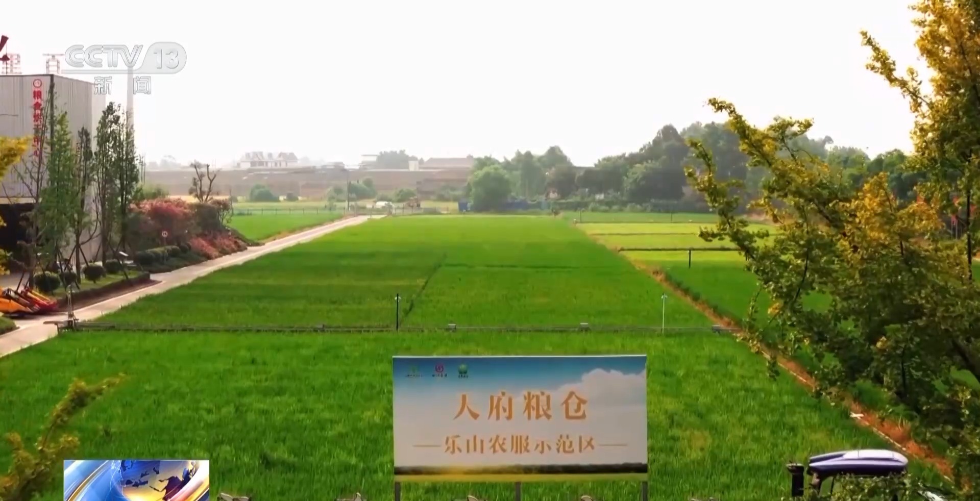
首都医科大学附属北京口腔医院黄牛代挂号电话票贩子号贩子网上预约挂号,住院检查加快,全国已建成为农服务中心1.7万个 全程社会化服务达2.6亿亩次