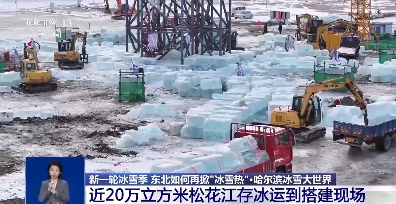 
杭州市儿童医院黄牛代挂号电话票贩子号贩子网上预约挂号,住院检查加快,“尔滨”“花式宠客”2.0版 各种“花活”集体上线