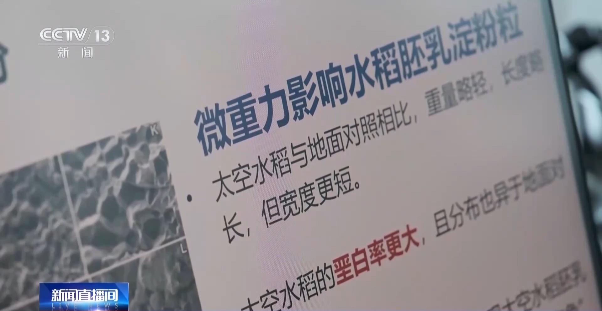 
中国中医科学院眼科医院黄牛代挂号电话票贩子号贩子网上预约挂号,住院检查加快,天上的水稻吃起来更甜？一起了解“太空水稻”和普通水稻的不同点