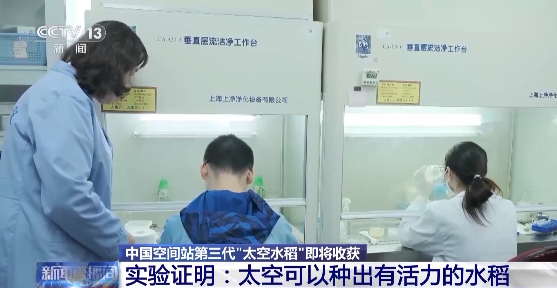 
中国中医科学院眼科医院黄牛代挂号电话票贩子号贩子网上预约挂号,住院检查加快,天上的水稻吃起来更甜？一起了解“太空水稻”和普通水稻的不同点