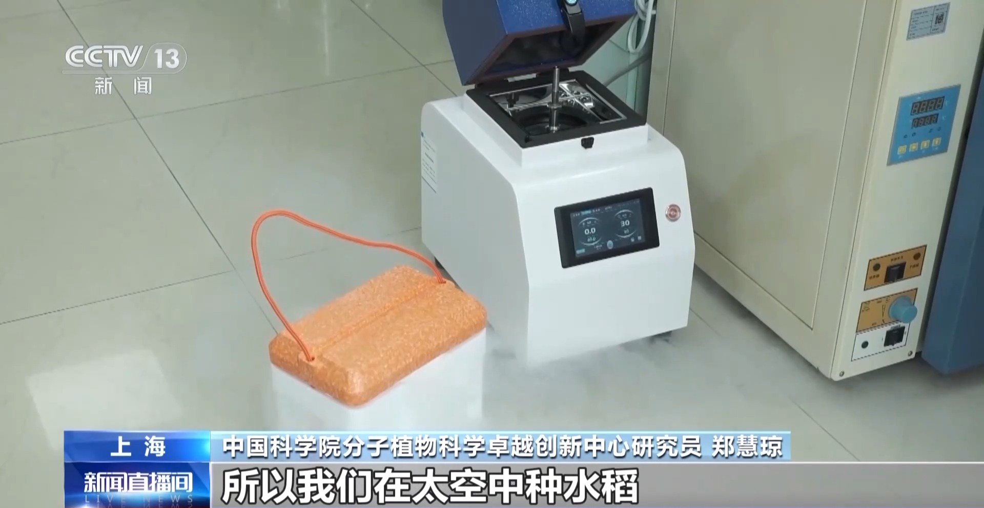 
中国中医科学院眼科医院黄牛代挂号电话票贩子号贩子网上预约挂号,住院检查加快,天上的水稻吃起来更甜？一起了解“太空水稻”和普通水稻的不同点