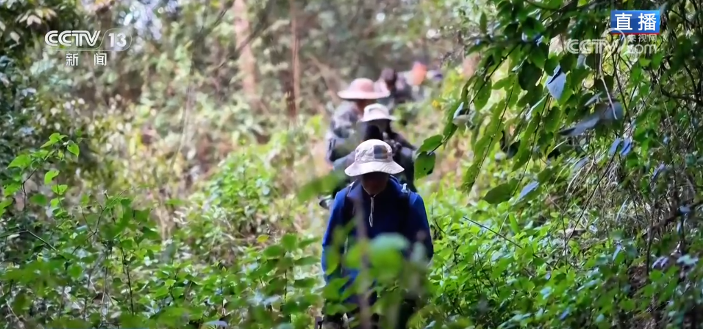 
广州儿童医院黄牛代挂号电话票贩子号贩子网上预约挂号,住院检查加快,生态保护与监测“双管齐下” 全力守护这片“百鸟天堂”