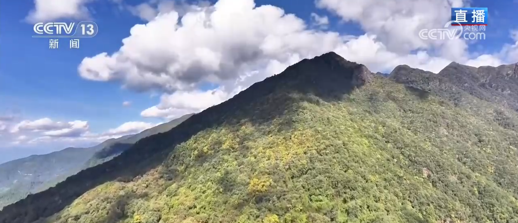 
广州儿童医院黄牛代挂号电话票贩子号贩子网上预约挂号,住院检查加快,生态保护与监测“双管齐下” 全力守护这片“百鸟天堂”