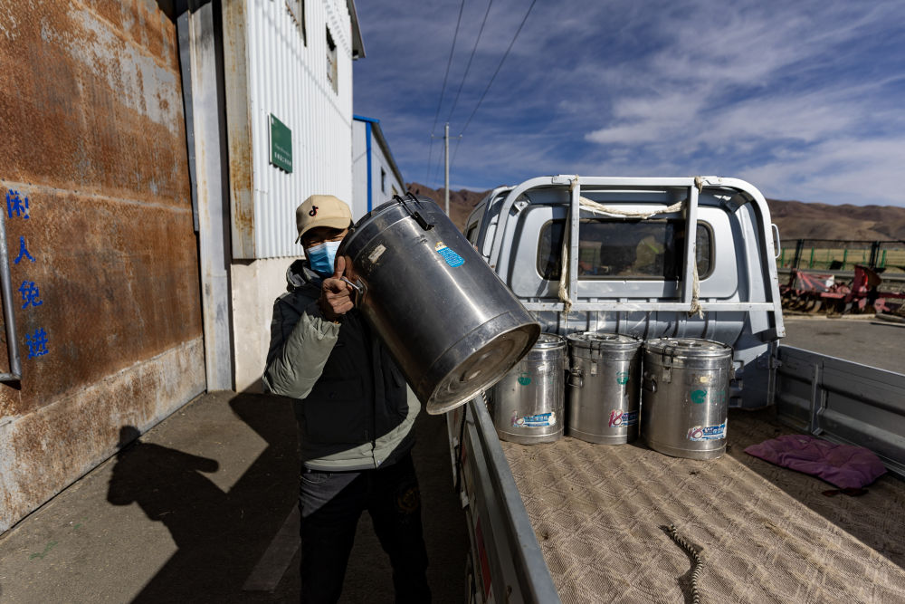 
重庆儿童医院黄牛代挂号电话票贩子号贩子网上预约挂号,住院检查加快,西藏那曲：牦牛奶产业助牧民增收就业