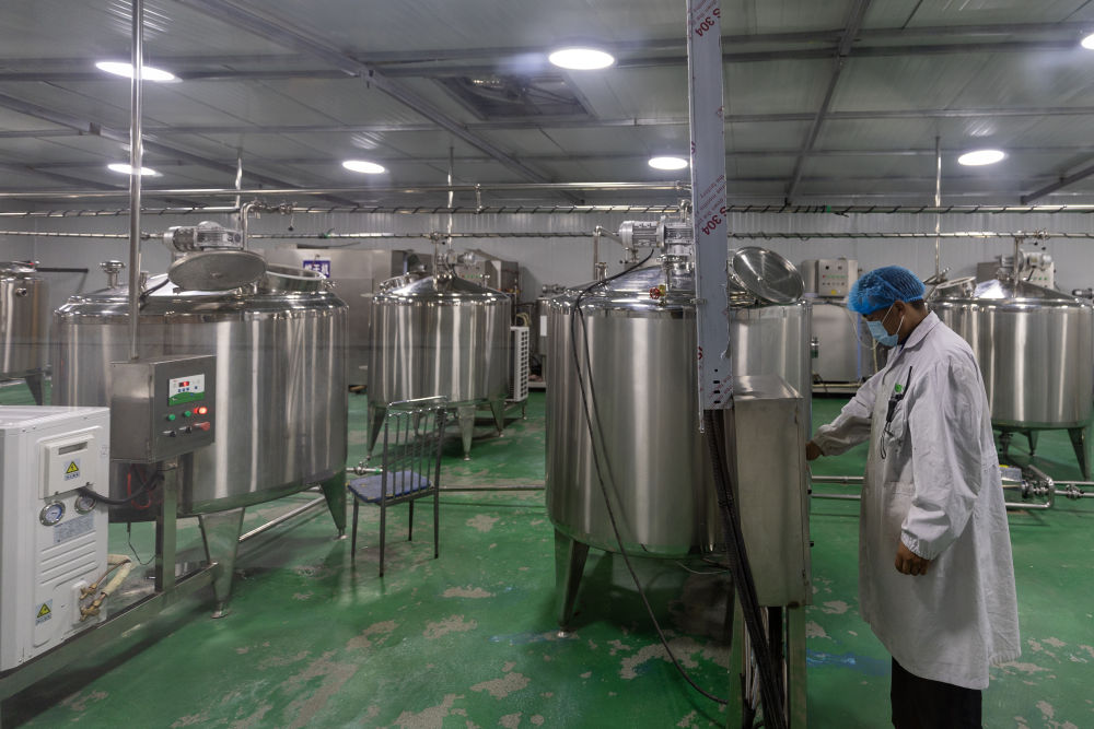 
重庆儿童医院黄牛代挂号电话票贩子号贩子网上预约挂号,住院检查加快,西藏那曲：牦牛奶产业助牧民增收就业