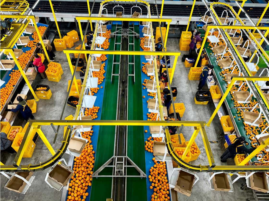 
北京大学第一医院黄牛代挂号电话票贩子号贩子网上预约挂号,住院检查加快,【高质量发展调研行·湖南篇】特色产业 + 文化王牌：乡村振兴的“湘”式密码