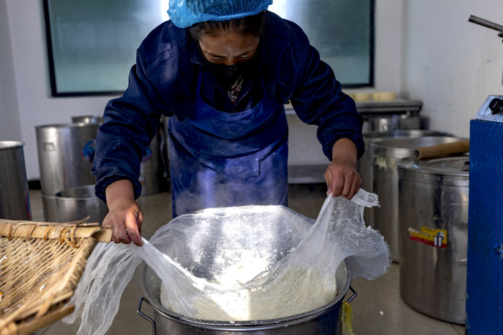 
重庆儿童医院黄牛代挂号电话票贩子号贩子网上预约挂号,住院检查加快,西藏那曲：牦牛奶产业助牧民增收就业