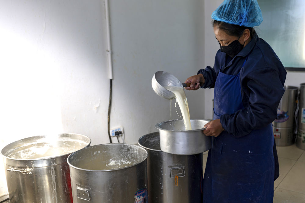 
重庆儿童医院黄牛代挂号电话票贩子号贩子网上预约挂号,住院检查加快,西藏那曲：牦牛奶产业助牧民增收就业