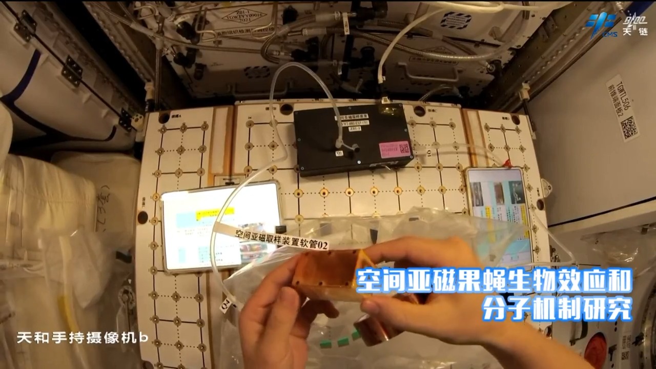 
南京鼓楼医院黄牛代挂号电话票贩子号贩子网上预约挂号,住院检查加快,在轨“满月”的“龙马乘组”都忙了啥？来看最新天宫Vlog