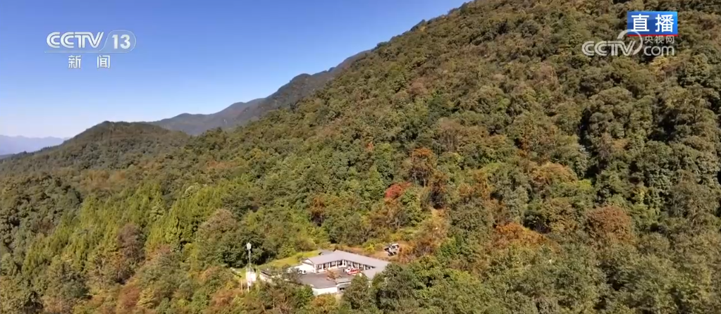 
广州儿童医院黄牛代挂号电话票贩子号贩子网上预约挂号,住院检查加快,生态保护与监测“双管齐下” 全力守护这片“百鸟天堂”