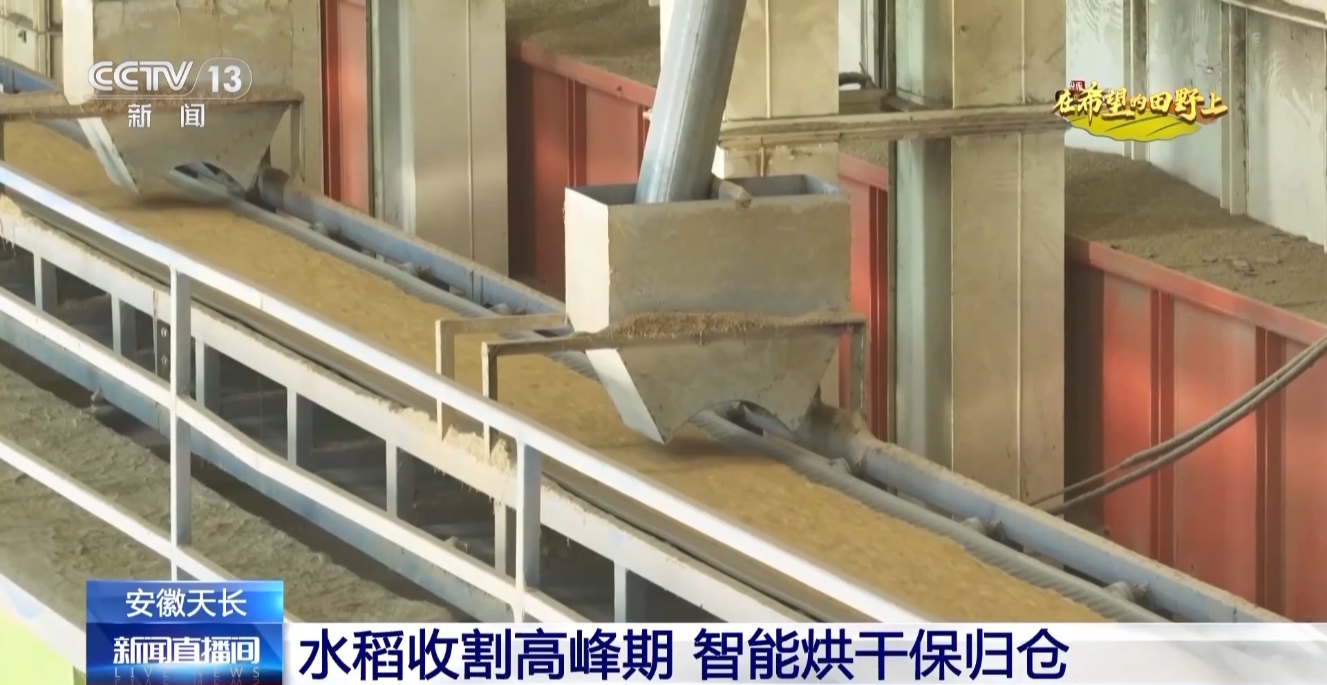 
中山大学孙逸仙纪念医院黄牛代挂号电话票贩子号贩子网上预约挂号,住院检查加快,大丰收！全国多地同太空水稻一起传来丰收消息