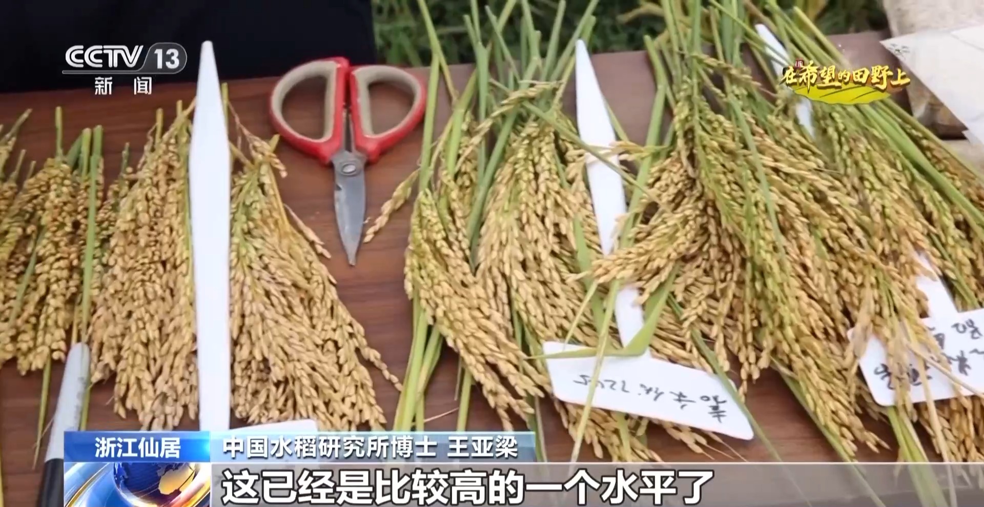 
中山大学孙逸仙纪念医院黄牛代挂号电话票贩子号贩子网上预约挂号,住院检查加快,大丰收！全国多地同太空水稻一起传来丰收消息