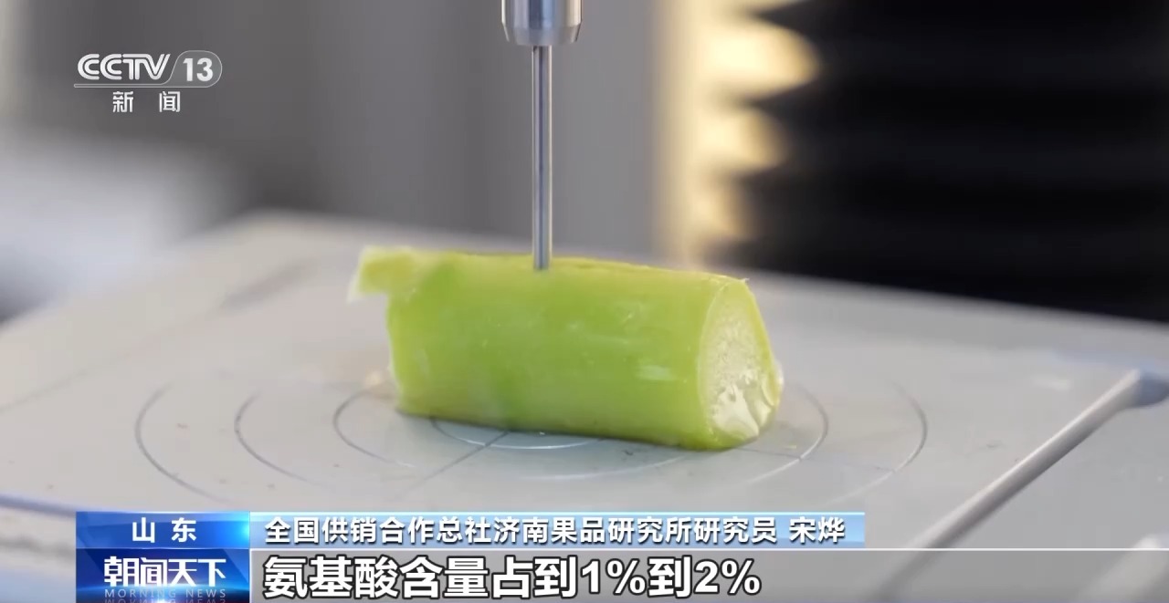 
首都医科大学附属北京妇产医院黄牛代挂号电话票贩子号贩子网上预约挂号,住院检查加快,过去当垃圾处理掉的“尾菜” 现在可以变废为宝