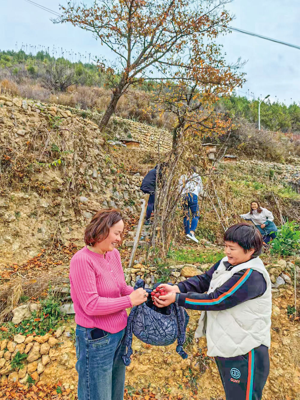 
中国中医科学院西苑黄牛代挂号电话票贩子号贩子网上预约挂号,住院检查加快,寻访三晋特色村