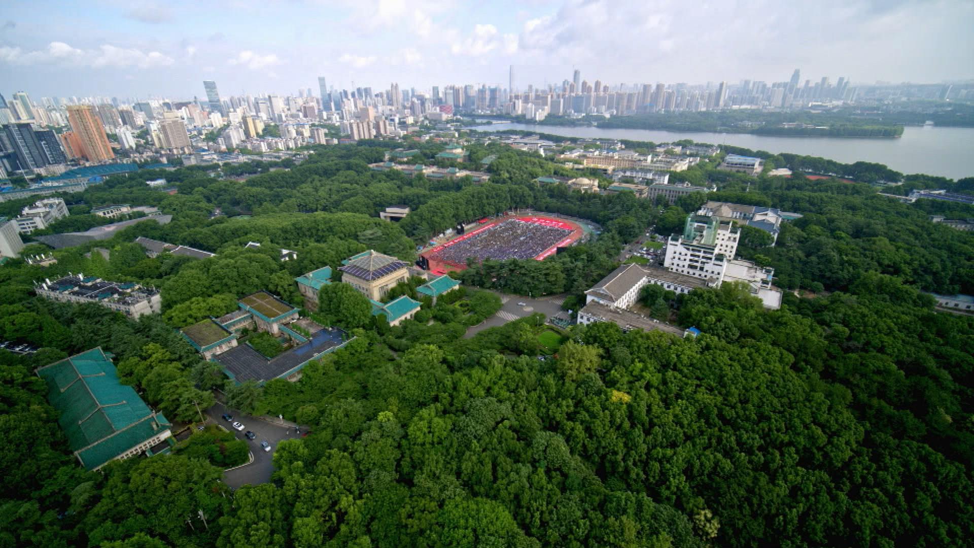 
成都华西医院黄牛代挂号电话票贩子号贩子网上预约挂号,住院检查加快,时政微视频丨瞰湖北