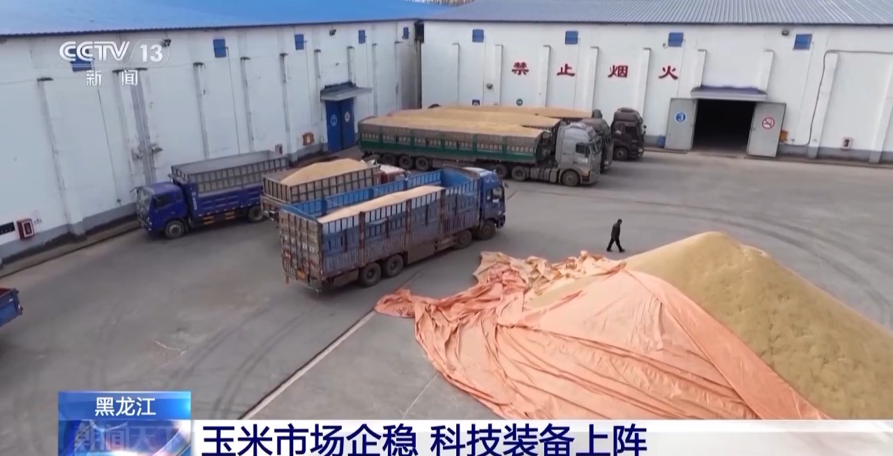 
东部战区总医院黄牛代挂号电话票贩子号贩子网上预约挂号,住院检查加快,秋粮收购政策托底 农民“好收成”变成“好收益”