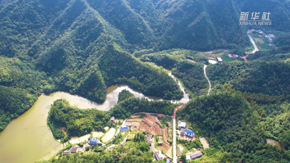 
北医六院黄牛代挂号电话票贩子号贩子网上预约挂号,住院检查加快,第七届进博会｜合作共赢创未来——写在第七届中国国际进口博览会开幕之际