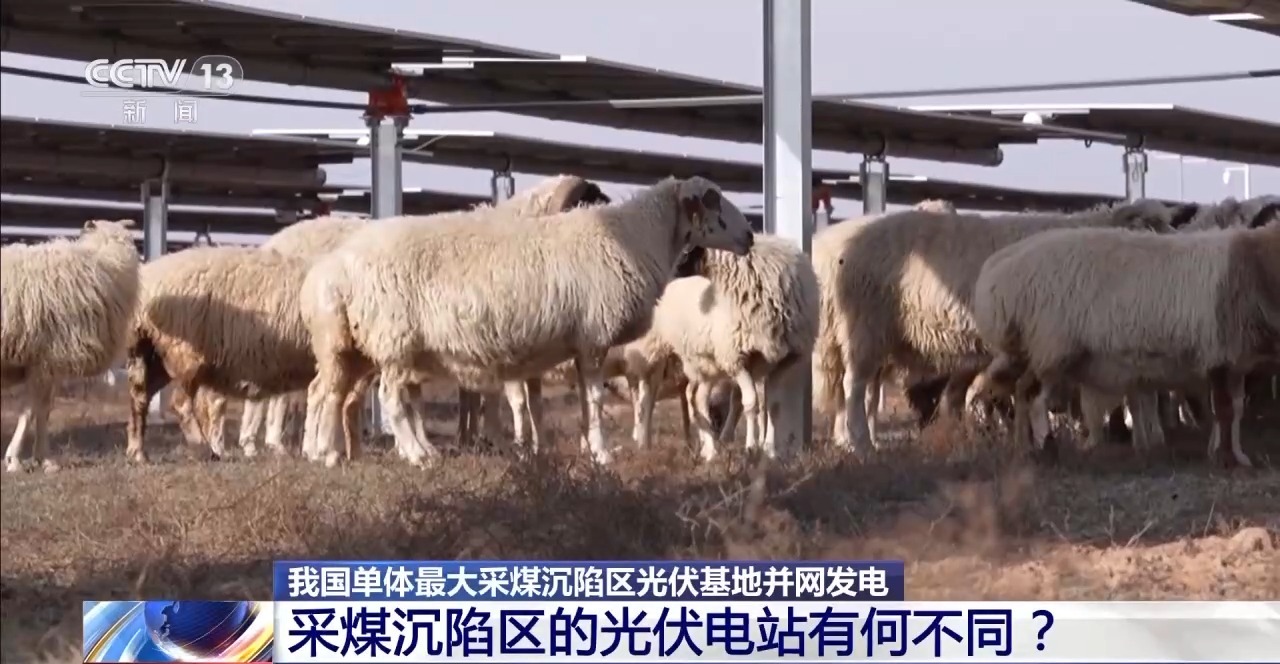 
中国医学科学院北京协和医院黄牛代挂号电话票贩子号贩子网上预约挂号,住院检查加快,正式并网发电！建在采煤沉陷区的光伏电站有何不同？