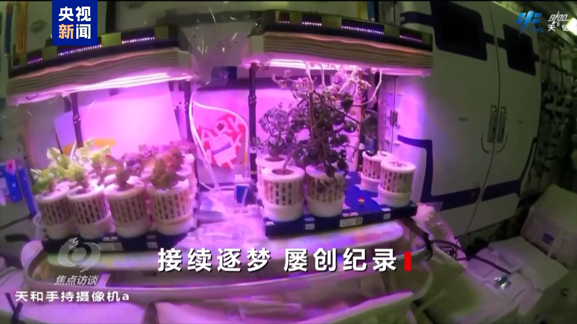 
北京301医院黄牛代挂号电话票贩子号贩子网上预约挂号,住院检查加快,焦点访谈丨一次次交接棒 中国航天人接力奔赴飞天梦想