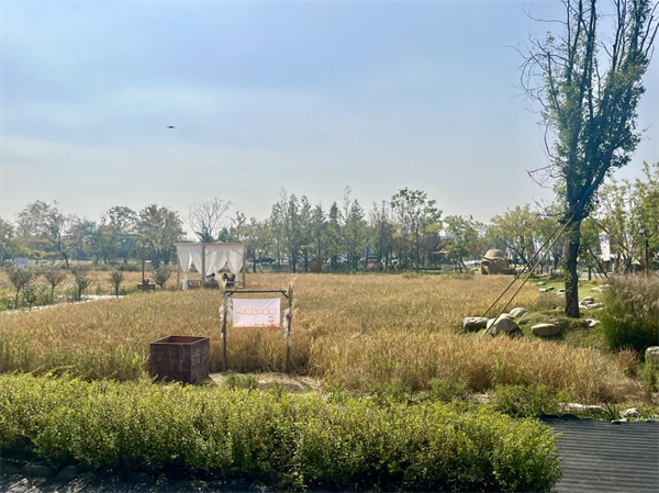 中国中医科学院西苑黄牛代挂号电话票贩子号贩子网上预约挂号,住院检查加快,水韵江苏·美好生活︱以文为笔 绘就旅游发展新图景