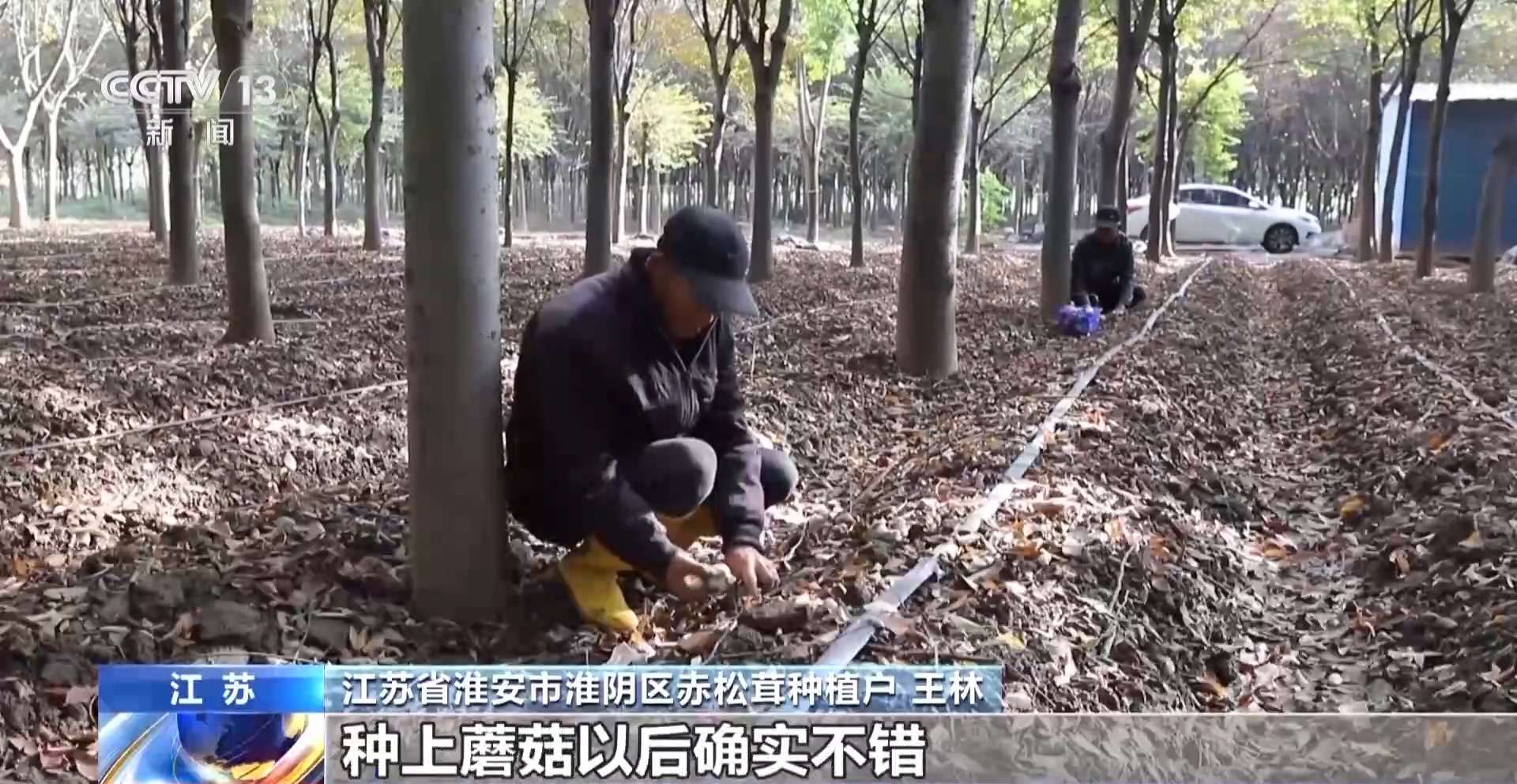 
北京301医院黄牛代挂号电话票贩子号贩子网上预约挂号,住院检查加快,板栗、油茶、苹果……森林“粮库”让中国饭碗端得更稳