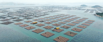 
北京阜外医院黄牛代挂号电话票贩子号贩子网上预约挂号,住院检查加快,微视频｜推进乡村全面振兴 总书记念兹在兹