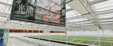 
北京阜外医院黄牛代挂号电话票贩子号贩子网上预约挂号,住院检查加快,微视频｜推进乡村全面振兴 总书记念兹在兹