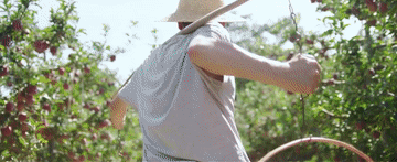 
北京阜外医院黄牛代挂号电话票贩子号贩子网上预约挂号,住院检查加快,微视频｜推进乡村全面振兴 总书记念兹在兹