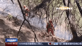 
上海儿童医学中心黄牛代挂号电话票贩子号贩子网上预约挂号,住院检查加快,最危急的时刻，他们来了！回顾消防惊险救援瞬间