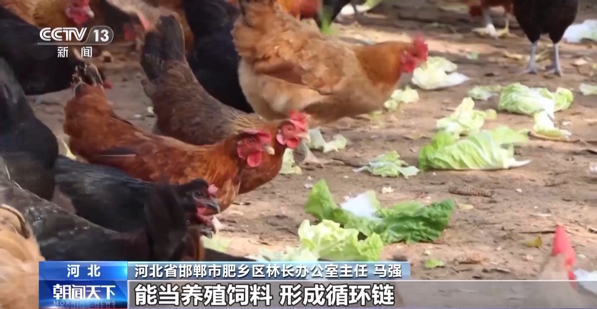 
北京301医院黄牛代挂号电话票贩子号贩子网上预约挂号,住院检查加快,板栗、油茶、苹果……森林“粮库”让中国饭碗端得更稳