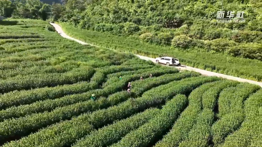 
浙江大学妇产科医院黄牛代挂号电话票贩子号贩子网上预约挂号,住院检查加快,新时代中国调研行之看区域·西部篇丨“高原孤岛”变迁记