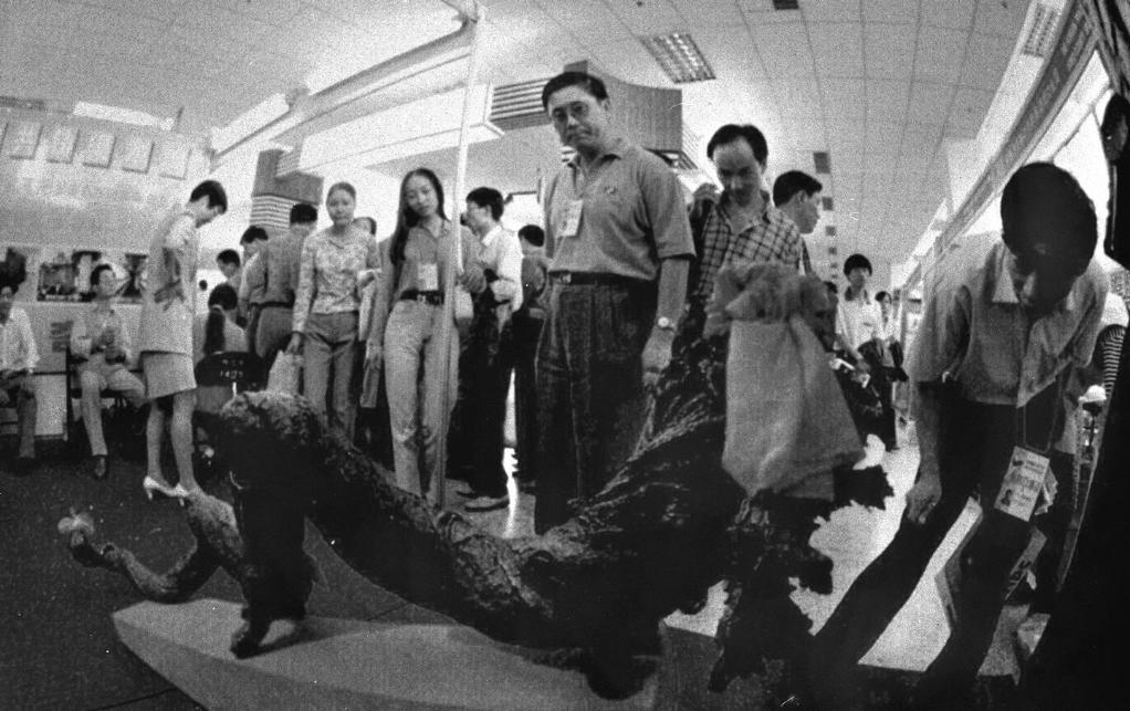 
天津各大医院黄牛代挂号电话票贩子号贩子网上预约挂号,住院检查加快,时光相册丨从“广交天下客”到“进博朋友圈”——在会展中看开放中国