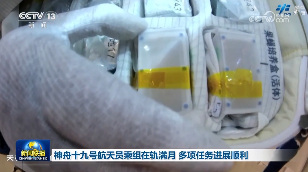 
南京金陵医院黄牛代挂号电话票贩子号贩子网上预约挂号,住院检查加快,拼搏四季度、决战全年度 经济稳定向好回升态势进一步确立