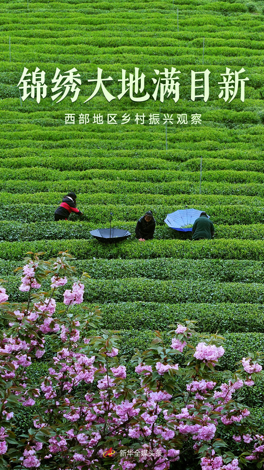 
南京儿童医院黄牛代挂号电话票贩子号贩子网上预约挂号,住院检查加快,锦绣大地满目新——西部地区乡村振兴观察