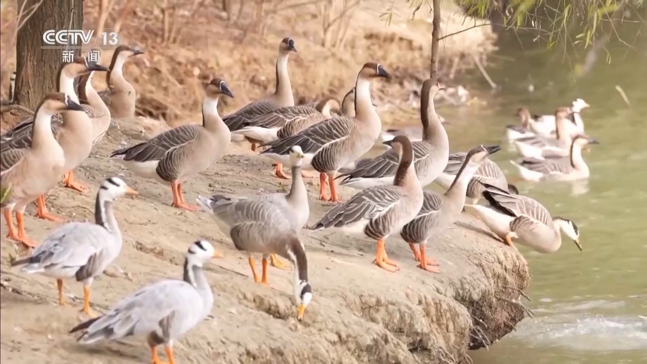 
首都医科大学附属北京妇产医院黄牛代挂号电话票贩子号贩子网上预约挂号,住院检查加快,水往高处流？南水北调东线帮水“攀登”了40米