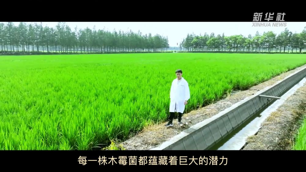 
广州肿瘤医院黄牛代挂号电话票贩子号贩子网上预约挂号,住院检查加快,微视频｜“新”潮澎湃