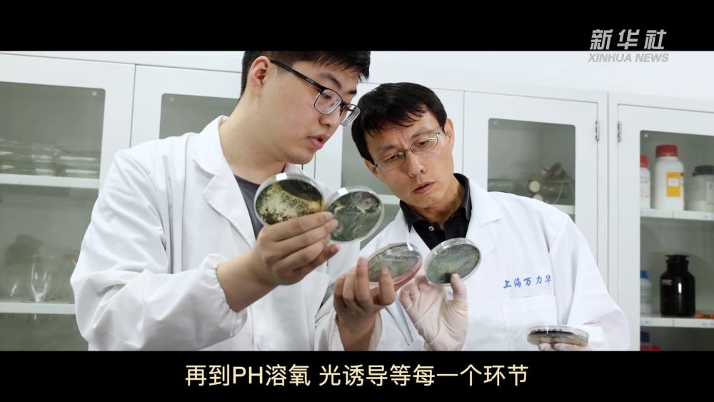 
广州肿瘤医院黄牛代挂号电话票贩子号贩子网上预约挂号,住院检查加快,微视频｜“新”潮澎湃